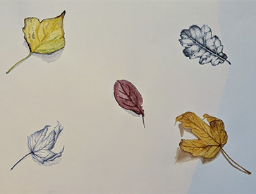 dessin feuille d'automne